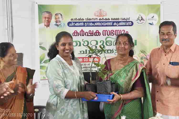 ചിറക്കൽ ഗ്രാമപഞ്ചായത്ത് പ്രസിഡന്റ് പി ശ്രുതി തൈകൾ വിതരണം ചെയ്യുന്നു.