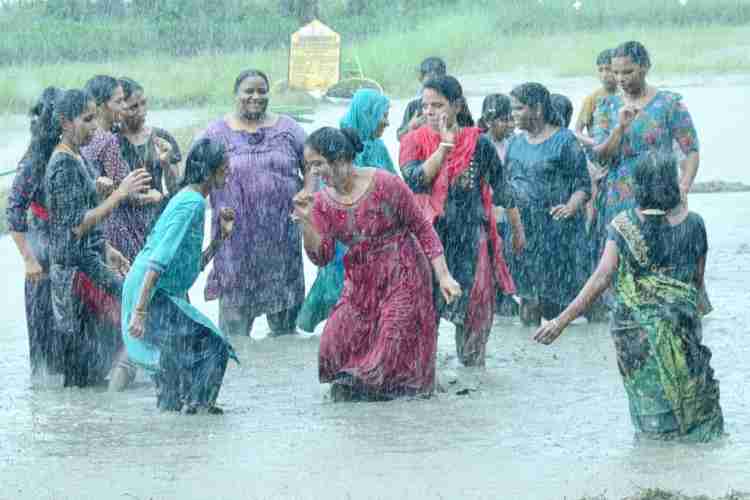 ചെറുകുന്ന് പഞ്ചായത്ത് കുടുംബശ്രീ സി ഡി എസ് സംഘടിപ്പിച്ച മഴപ്പൊലിമയിൽ നിന്ന്
