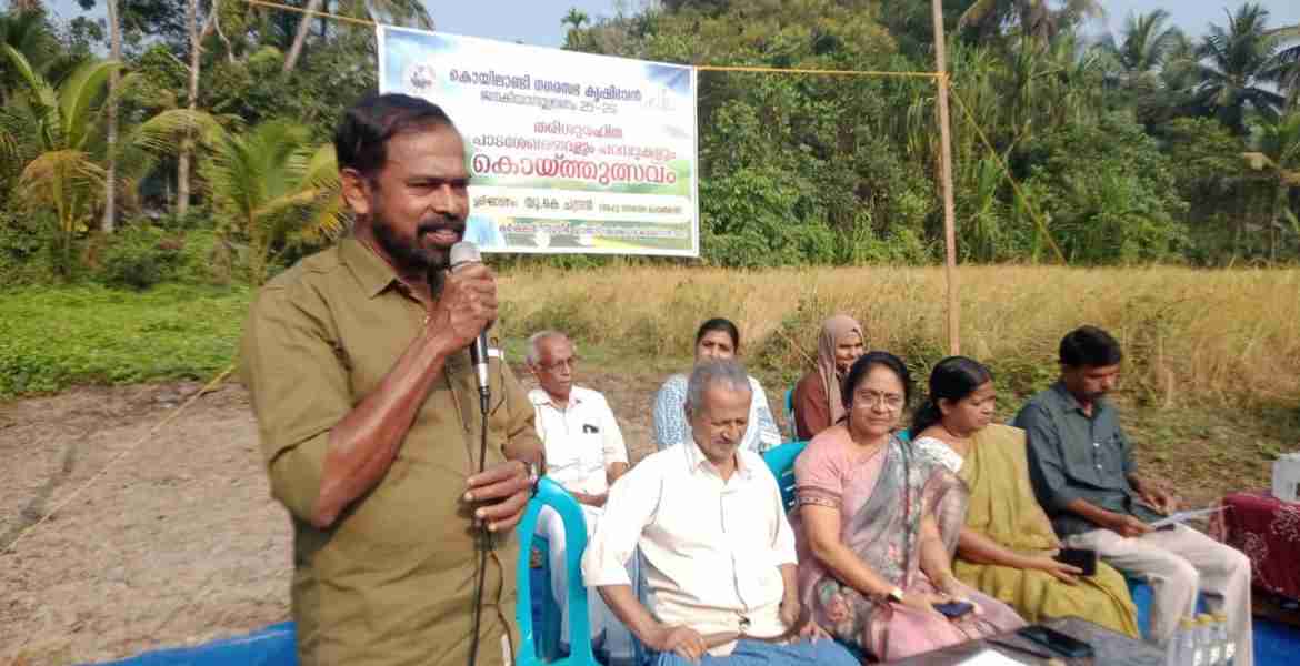 കൊയിലാണ്ടി നഗരസഭയിലെ കുറുവങ്ങാട് തരിശുനില നെൽകൃഷി വിളവെടുപ്പ് നഗരസഭ ചെയർമാൻ യു കെ ചന്ദ്രൻ ഉദ്ഘാടനം ചെയ്യുന്നു