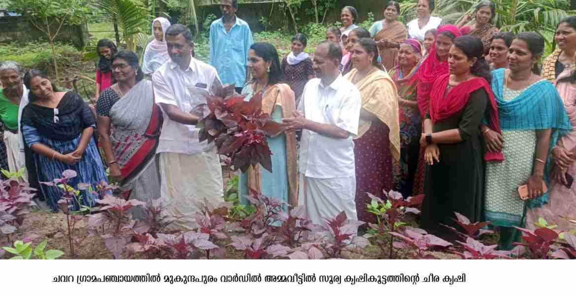 കൃഷിയുമായി പെണ്‍കൂട്ടായ്മ