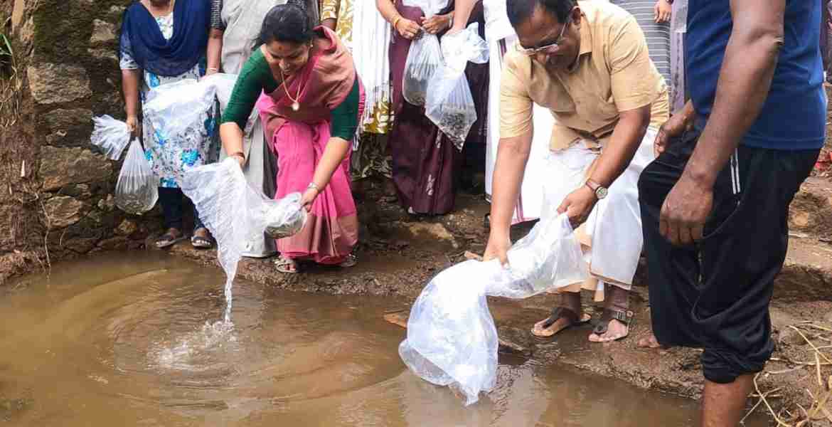 പൊതുജലാശയങ്ങളിലെ മത്സ്യവിത്ത് നിക്ഷേപത്തിന്റെ ഉദ്ഘാടനം കുറ്റൂര്‍ തോണ്ടറകടവില്‍ ജില്ലാപഞ്ചായത്ത് അംഗം മായാ അനില്‍കുമാര്‍ നിര്‍വഹിക്കുന്നു