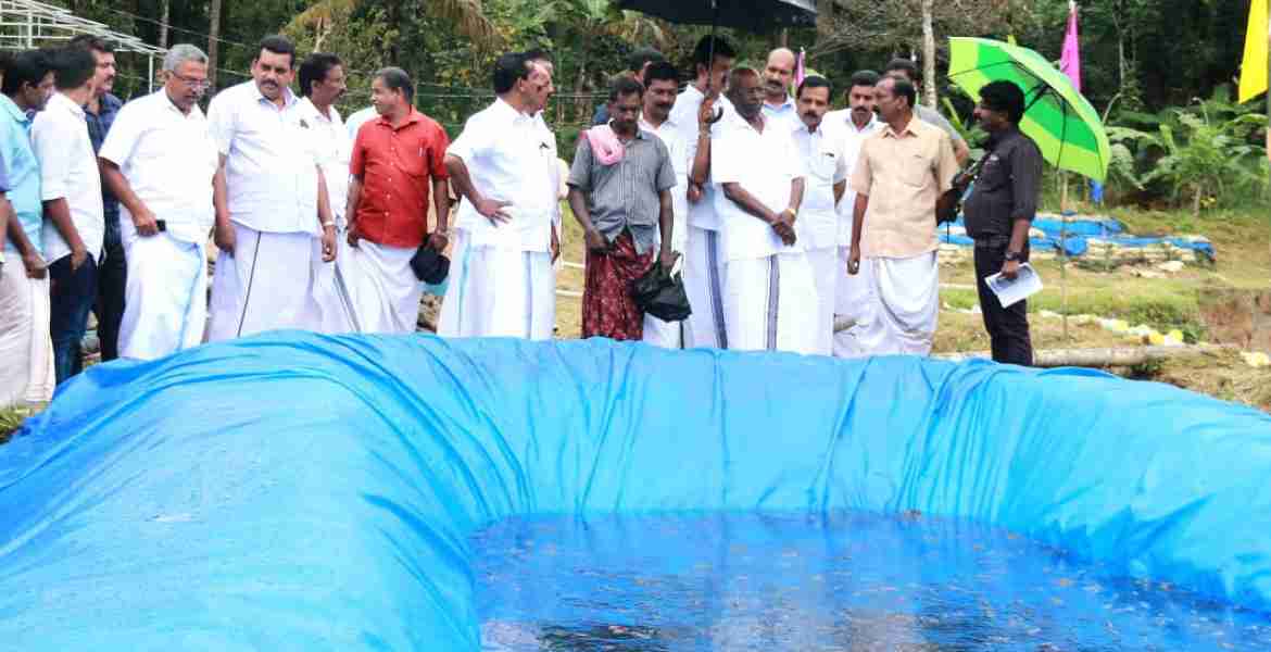  വൈദ്യുതി മന്ത്രി എം.എം.മണി തോപ്രാംകുടിയിൽ മത്സ്യകൃഷി വിളവെടുപ്പ് ഉദ്ഘാടനം ചെയ്ത് സംസാരിക്കുന്നു.