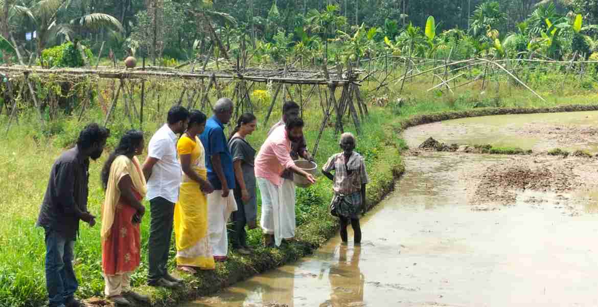 പന്തളം തെക്കേക്കര ഗ്രാമ പഞ്ചായത്ത് കണ്ണാടി വയല്‍ പാട ശേഖരത്തില്‍ നെല്‍കൃഷിക്ക് ഗ്രാമപഞ്ചായത്ത് പ്രസിഡന്റ് എസ്.രാജേന്ദ്ര പ്രസാദ് വിത്തിടീല്‍ നിര്‍വഹിക്കുന്നു