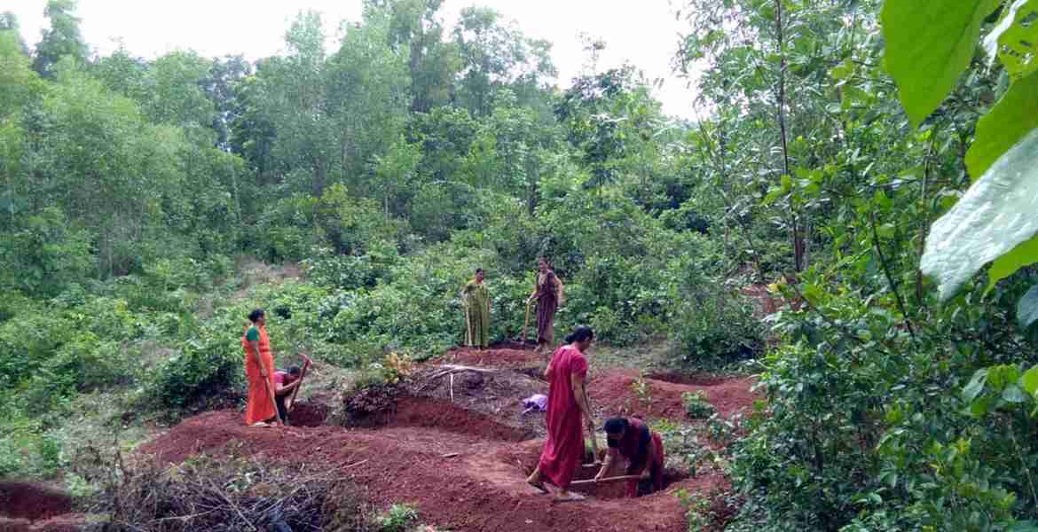 മുളിയാര്‍ ഗ്രാമപഞ്ചായത്തിലെ മഴക്കുഴി നിര്‍മ്മാണത്തില്‍ നിന്ന്