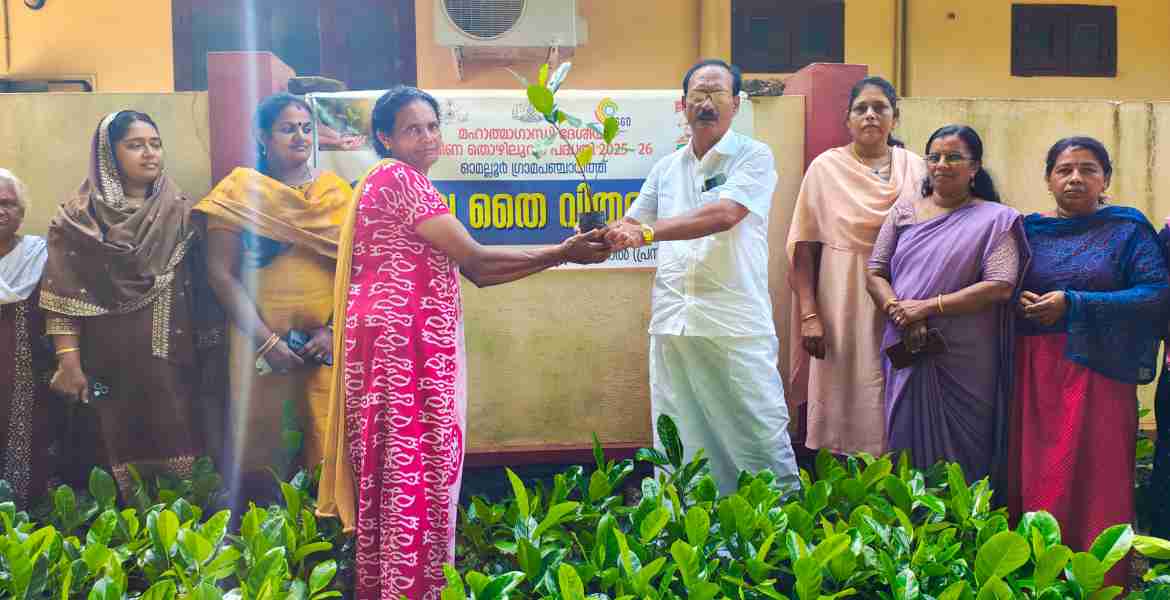 പ്ലാവിന്‍ തൈകളുടെ വിതരണോദ്ഘാടനം ഓമല്ലൂര്‍ ഗ്രാമപഞ്ചായത്ത് പ്രസിഡന്റ് ജോണ്‍സണ്‍ വിളവിനാല്‍ നിര്‍വഹിക്കുന്നു