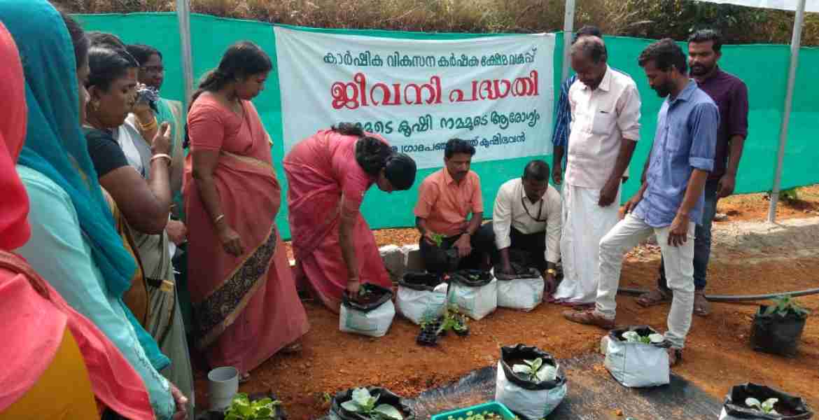 പാടശേഖരത്ത് ആരംഭിക്കുന്ന ഹൈബ്രിഡ് പച്ചക്കറി കൃഷിയുടെ ഉദ്ഘാടനം ആനക്കര ഗ്രാമപഞ്ചായത്ത് പ്രസിഡണ്ട് സിന്ധു രവീന്ദ്രകുമാര്‍ നിര്‍വഹിക്കുന്നു.