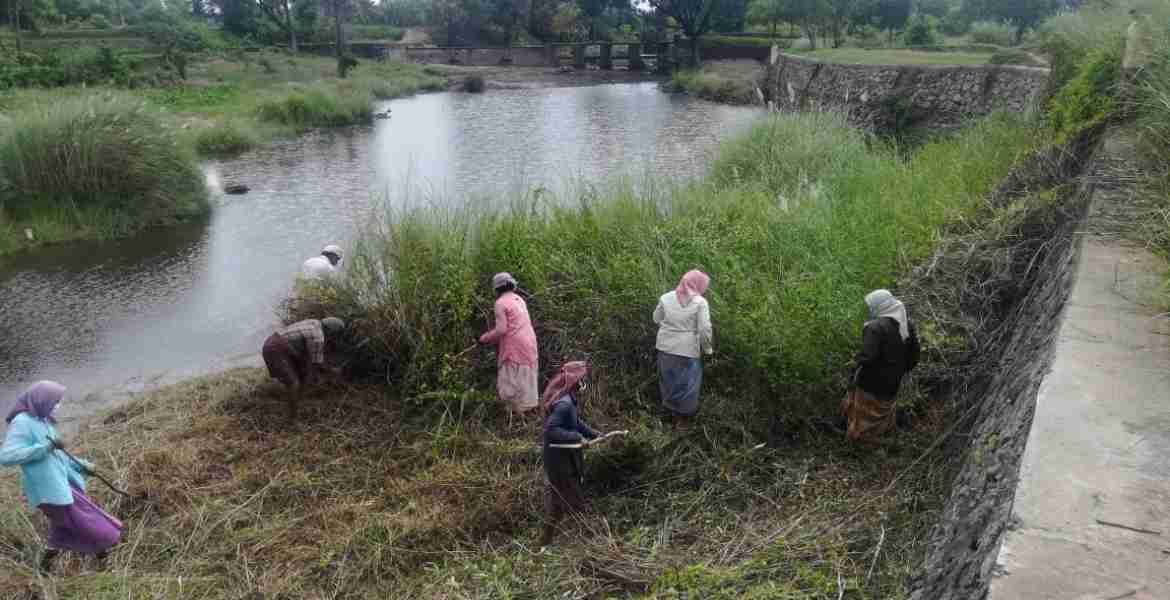 തൊഴിലുറപ്പ് പദ്ധതിയുടെ നേതൃത്വത്തില്‍ ആലത്തൂര്‍ പഞ്ചായത്തില്‍ തോട് നവീകരിക്കുന്നു.  