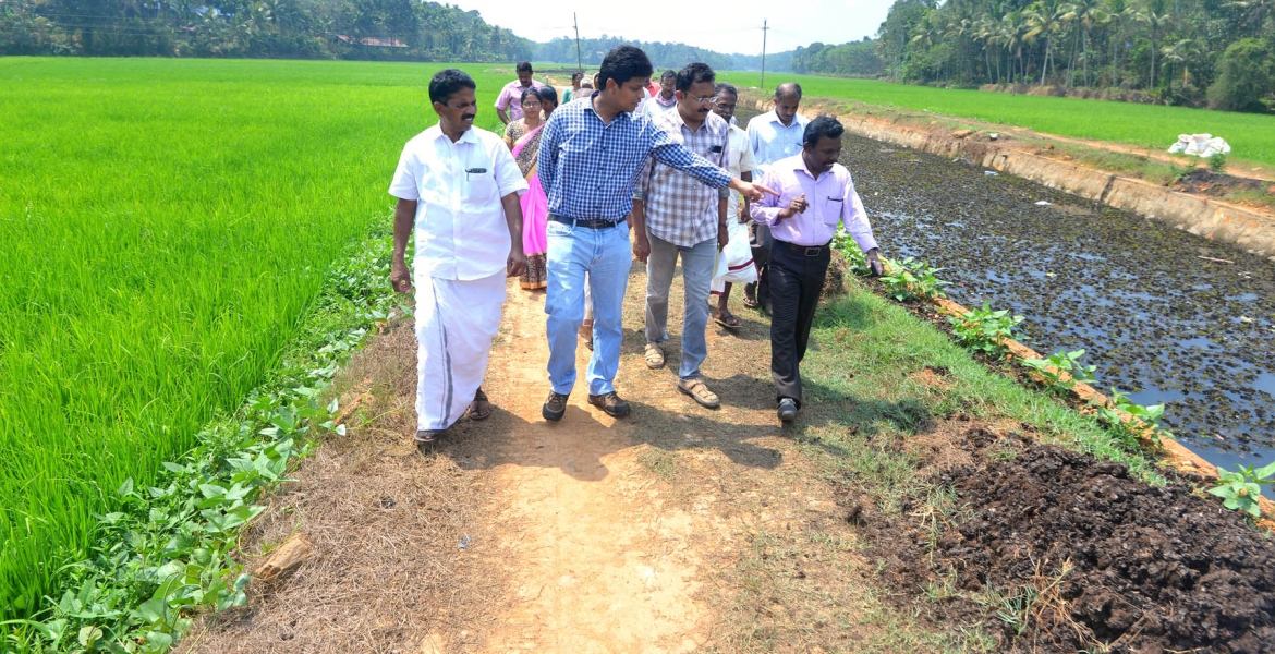 thottara
