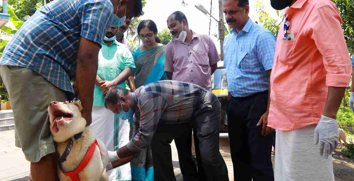പത്തനംതിട്ട അഞ്ചക്കാലയില്‍ പേ വിഷബാധക്കെതിരായ വാക്‌സിനേഷന്‍ ക്യാമ്പ് ജില്ലാ കളക്ടര്‍ ഡോ. ദിവ്യ എസ് അയ്യര്‍ സന്ദര്‍ശിക്കുന്നു