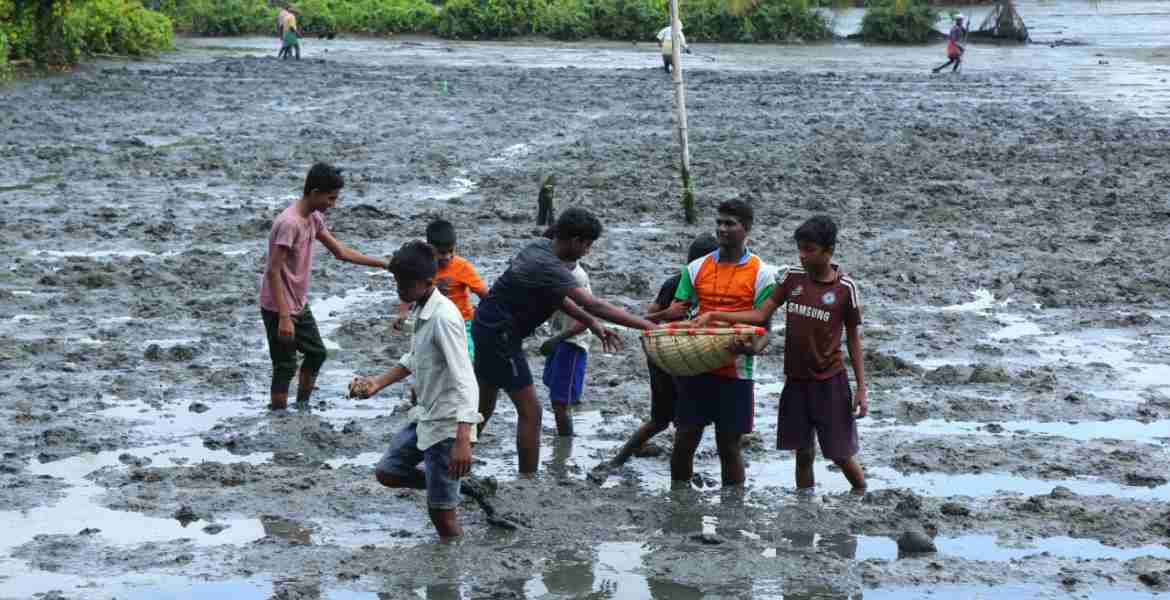 ഞങ്ങളും കൃഷിയിലേക്ക് പദ്ധതിയുടെ പറവൂർ ബ്ലോക്ക്തല ഉദ്ഘാടനത്തോടനുബന്ധിച്ച് കോട്ടുവള്ളി ഗ്രാമപഞ്ചായത്തിലെ കൈതാരം പൊക്കാളി പാടശേഖരത്തിൽ കൂനമ്മാവ് സെൻ്റ് ജോസഫ് ബോയ്സ് ഹോസ്റ്റലിലെ കുട്ടികൾ പൊക്കാളി വിത്തു വിതയ്ക്കുന്നു