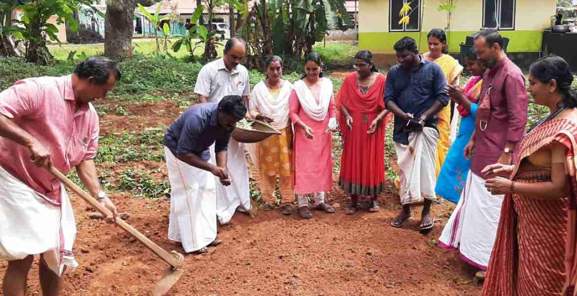 പുറ്റുമാനൂർ ജി.യു.പി സ്കൂളിലെ കരനെൽ കൃഷി പി.വി ശ്രീനിജിൻ എം.എൽ.എ ഉദ്ഘാടനം   ചെയ്യുന്നു.
