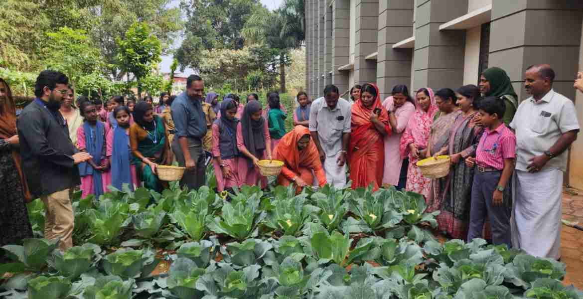 സുൽത്താൻ ബത്തേരി ഗവ. സർവജന ഹൈസ്കൂളിലെ വിദ്യാർത്ഥികൾ സ്കൂൾ വളപ്പിൽ കൃഷി ചെയ്ത പച്ചക്കറികളുടെ വിളവെടുപ്പ് നടത്തി. നഗരസഭ ചെയർപേഴ്സൺ റസീന അബ്ദുൾ ഖാദർ വിളവെടുപ്പ് ഉദ്ഘാടനം ചെയ്തു.