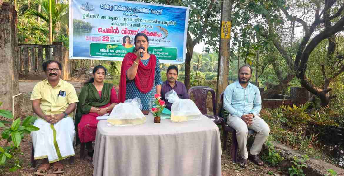 സംയോജിത മത്സ്യ വിഭവ പരിപാലനം പദ്ധതി: കുപ്പം പാറമ്മൽ കടവിൽ ചെമ്മീൻ കുഞ്ഞുങ്ങളെ നിക്ഷേപിച്ചു 