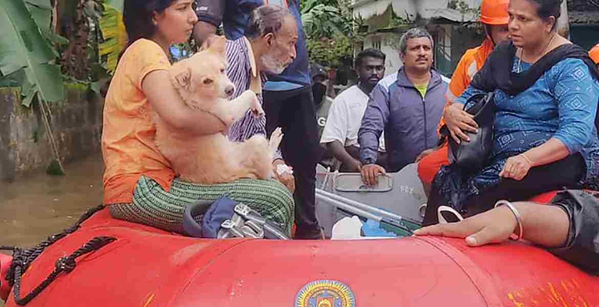 ജില്ലയിലുണ്ടായ വെള്ളപ്പൊക്കത്തേത്തുടർന്ന് വിവിധയിടങ്ങളിൽ അഗ്നിരക്ഷാ സേന നടത്തിയ രക്ഷാപ്രവർത്തനങ്ങൾ 