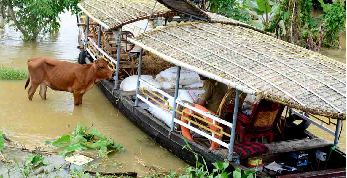 മൃഗങ്ങളുടെ രക്ഷയ്ക്ക് ആനിമൽ റസ്‌ക്യൂ ടീം കുട്ടനാട്ടിൽ