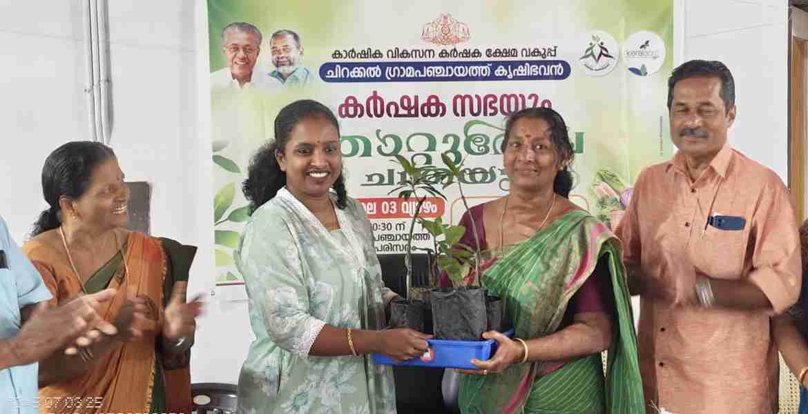 ചിറക്കൽ ഗ്രാമപഞ്ചായത്ത് പ്രസിഡന്റ് പി ശ്രുതി തൈകൾ വിതരണം ചെയ്യുന്നു.
