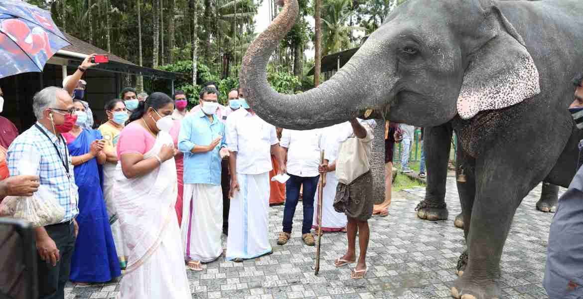 ആനകള്ക്കായുള്ള ഖരാഹാര വിതരണ പദ്ധതിയുടെ ഉദ്ഘാടനം ഇ എസ് ബിജിമോള് എംഎല്എ നിര്വ്വഹിക്കുന്നു.
