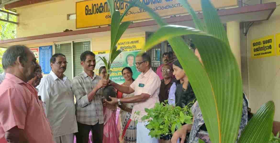 ഞാറ്റുവേല ചന്തയുടെ ഭാഗമായി ചെറുകുന്ന് ഗ്രാമ പഞ്ചായത്തിൽ നിന്നും തൈകൾ വിതരണം ചെയുന്നു