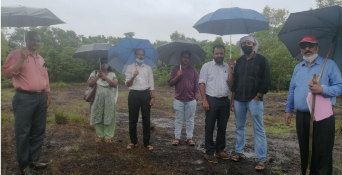 പരിയാരം ഗ്രാമ പഞ്ചായത്തിൽ സ്വകാര്യ ഭക്ഷ്യ വ്യവസായ പാർക്ക് ആരംഭിക്കാനായി വി എം പി എസ് ഫുഡ് പാർക്ക് ആന്റ് വെൻച്വേഴ്സ് ലിമിറ്റഡ് കമ്പനിയുടെ സ്ഥലം ജില്ലാ വ്യവസായ കേന്ദ്രത്തിന്റെ നേതൃത്വത്തിൽ പരിശോധിക്കുന്നു