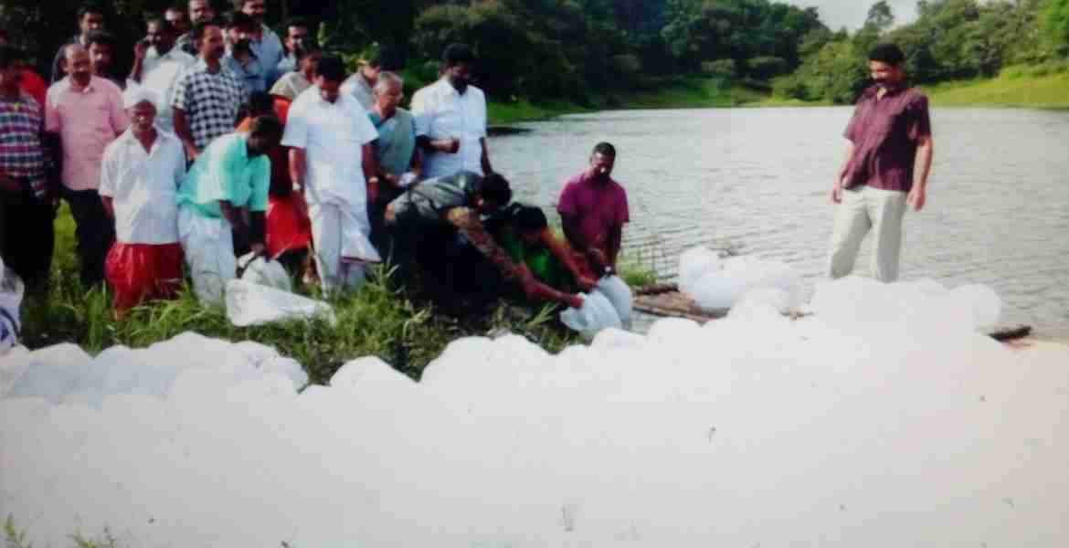  ഇടുക്കി ഡൈവേര്‍ഷന്‍ ഡാം ഇര'യാര്‍ നോര്‍ത്തില്‍ മീന്‍കുഞ്ഞുങ്ങളെ നിക്ഷേപിക്കുു.