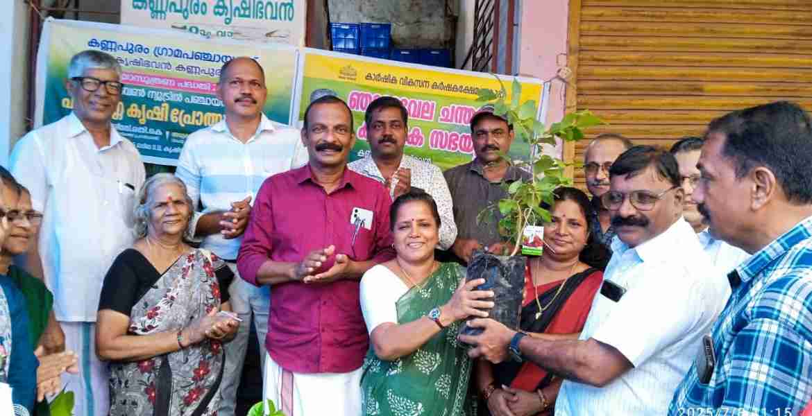 കണ്ണപുരം പഞ്ചായത്ത്‌ പ്രസിഡന്റ്‌ കെ രതി തൈകൾ വിതരണം ചെയുന്നു