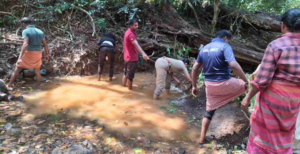 കണ്ണവം, നെടുംപൊയില്‍ സെഷനുകളില്‍ വനംവകുപ്പ് ഉദ്യോഗസ്ഥരുടെ നേതൃത്വത്തില്‍ പ്രകൃതിദത്ത തടയണകള്‍ നിര്‍മ്മിച്ച് നീര്‍ച്ചാലുകള്‍ പുനര്‍ജീവിപ്പിക്കുന്നു