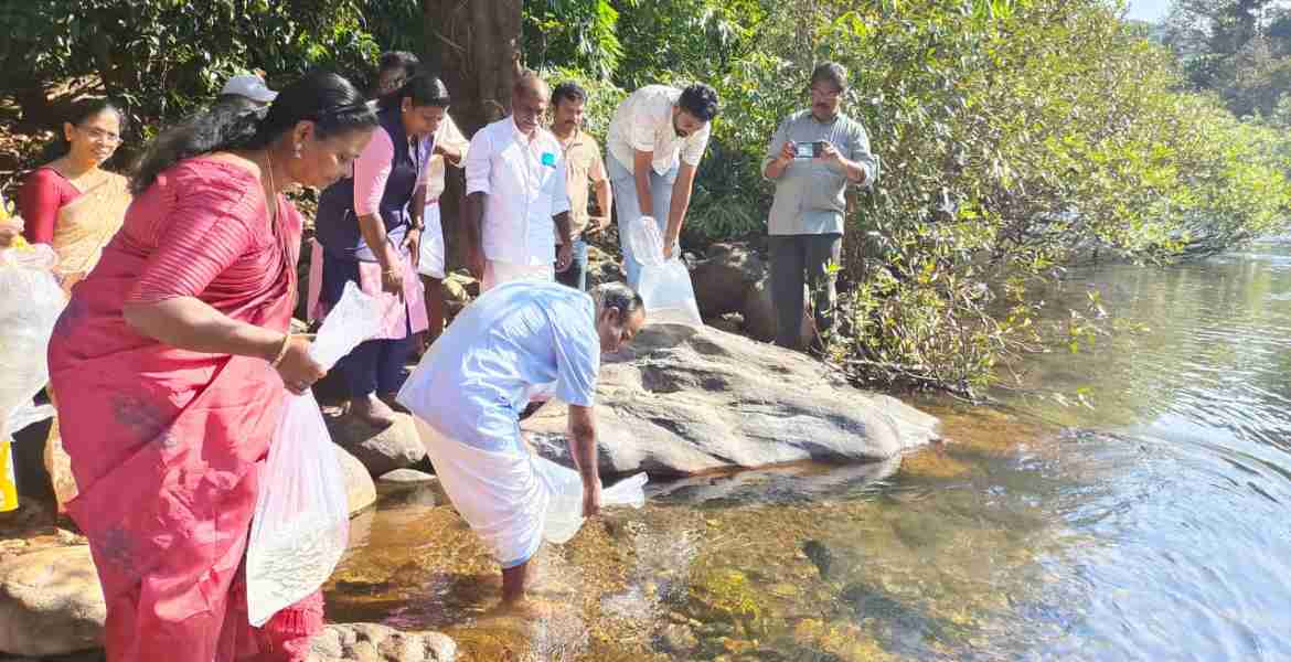 സംയോജിത മത്സ്യ വിഭവ പരിപാലനം പദ്ധതിയുടെ ഭാഗമായി കുപ്പം പുഴയിലെ കാര്‍ത്തികപുരം കടവില്‍ ഉദയഗിരി പഞ്ചായത്ത് പ്രസിഡന്റ് കെ.എസ് ചന്ദ്രശേഖരന്‍ കാര്‍പ്പ് മത്സ്യക്കുഞ്ഞുങ്ങളെ നിക്ഷേപിക്കുന്നു