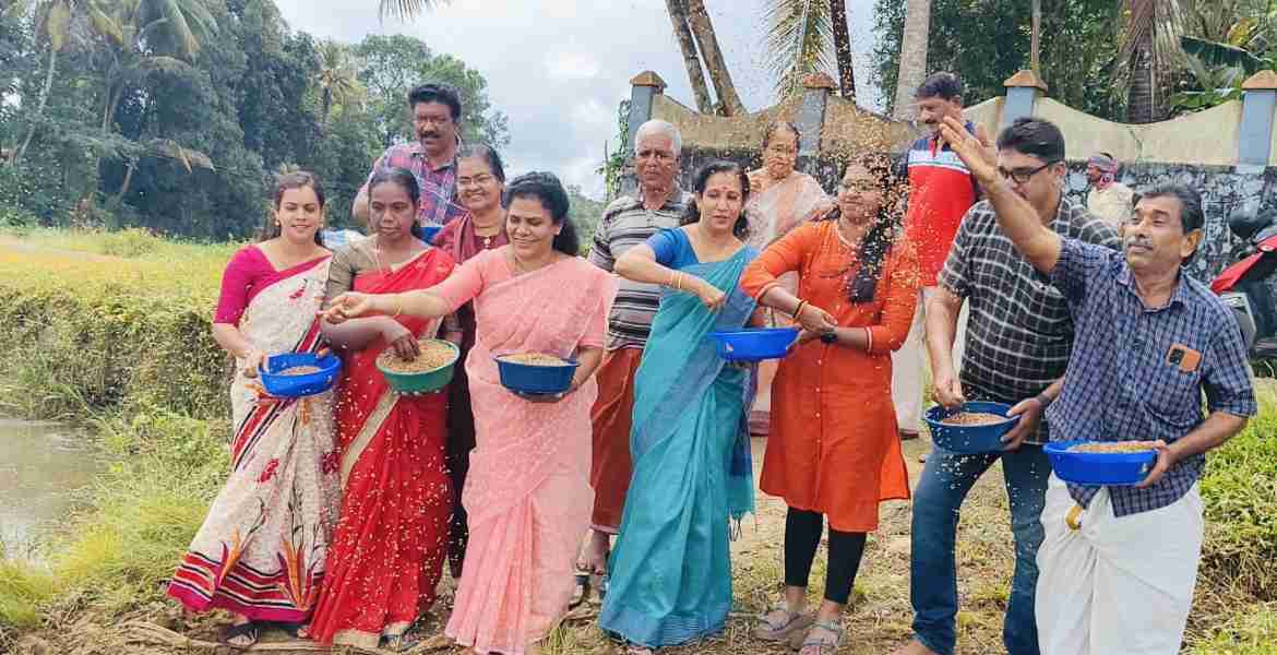 മല്ലപ്പുഴശേരി ഗ്രാമപഞ്ചായത്തിലെ പന്നിവേലിച്ചിറ പാടശേഖരത്തിലെ വിത ഉത്സവം പ്രസിഡന്റ് മിനി ജിജു ജോസഫ് ഉദ്ഘാടനം ചെയ്യുന്നു