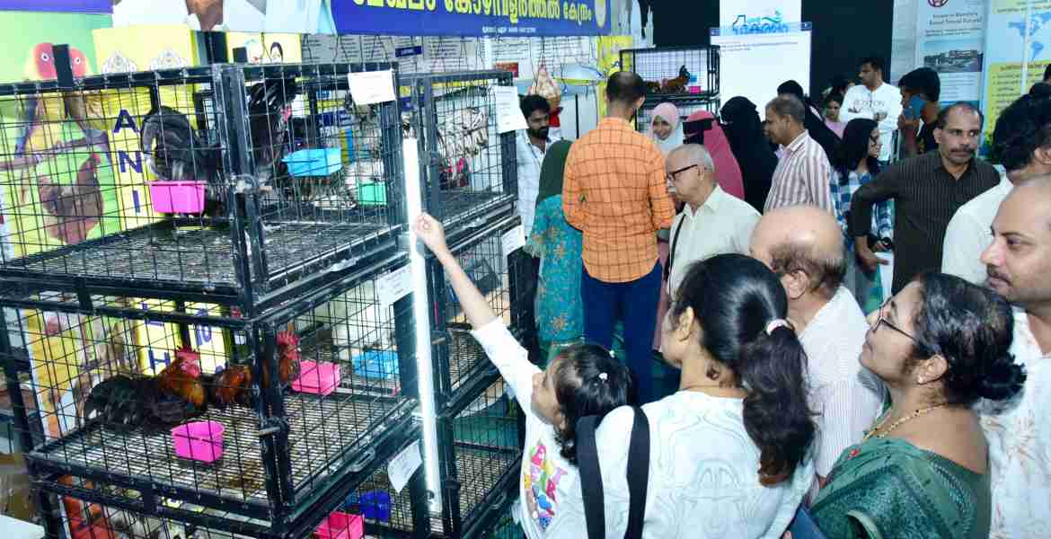 സംസ്ഥാന സർക്കാരിന്റെ നാലാം വാർഷികം എന്റെ കേരളം പ്രദർശന വിപണനമേളയിലെ മുണ്ടയാട് കോഴി വളർത്തൽ കേന്ദ്രം  സ്റ്റാളിനു മുന്നിലെ തിരക്ക്