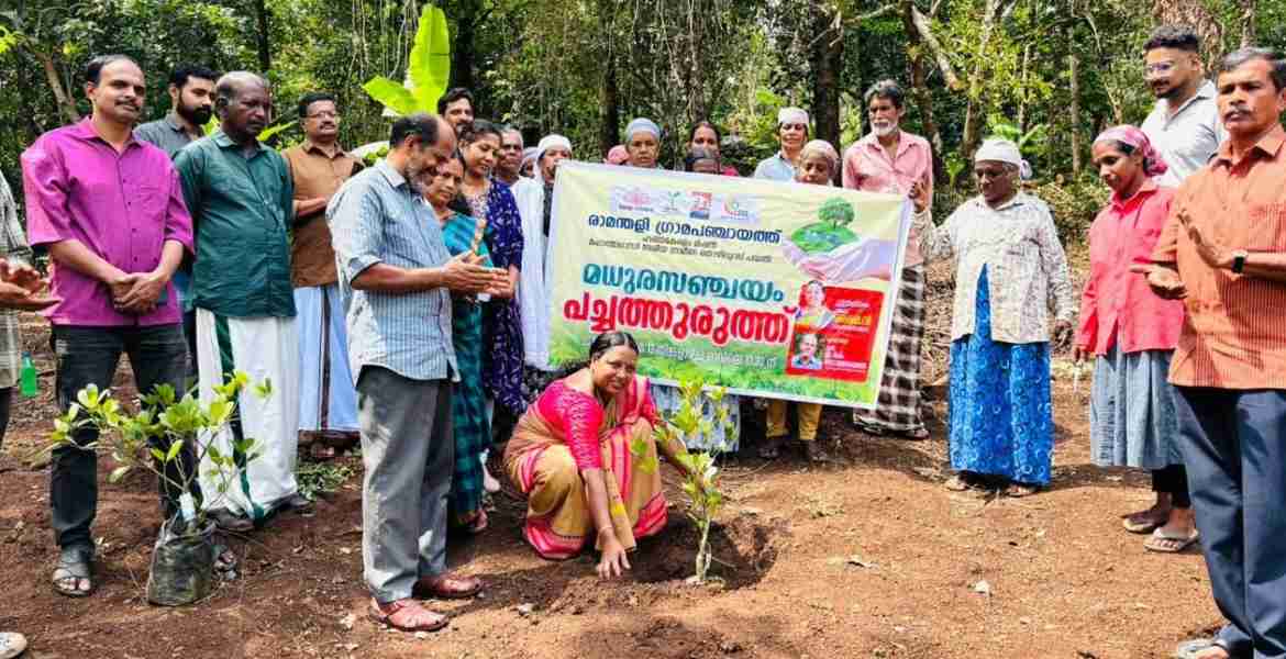 കുന്നരു സെൻട്രൽ വാർഡിൽ നിർമ്മിച്ച പച്ചത്തുരുത്തിൽ പഞ്ചായത്ത് പ്രസിഡന്റ് വി ഷൈമ വൃക്ഷത്തൈ നടുന്നു