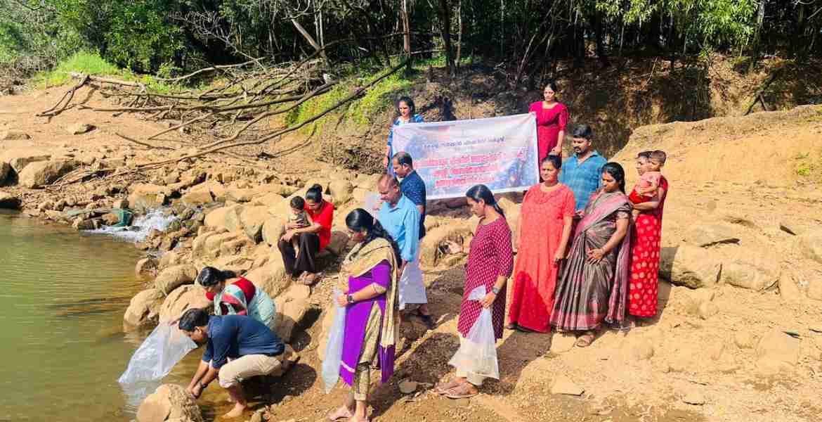 പഴശ്ശി റിസര്‍വോയറില്‍ നിടിയോടി കടവില്‍ പടിയൂര്‍-കല്യാട് പഞ്ചായത്ത് വൈസ് പ്രസിഡന്റ് കെ മിനിയുടെ നേതൃത്വത്തില്‍ കാര്‍പ്പ് മത്സ്യ കുഞ്ഞുങ്ങളെ നിക്ഷേപിക്കുന്നു