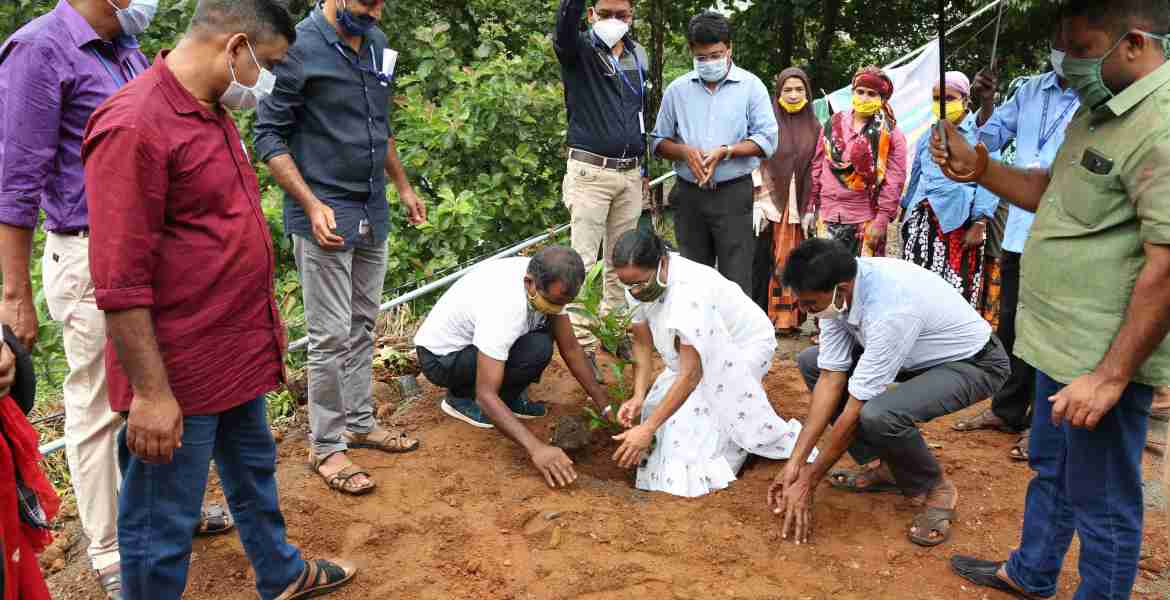വാഴത്തോപ്പ് ഗ്രാമ പഞ്ചായത്തില്‍ പച്ചതുരുത്ത്  രണ്ടാം ഘട്ടത്തിന് തുടക്കമായി