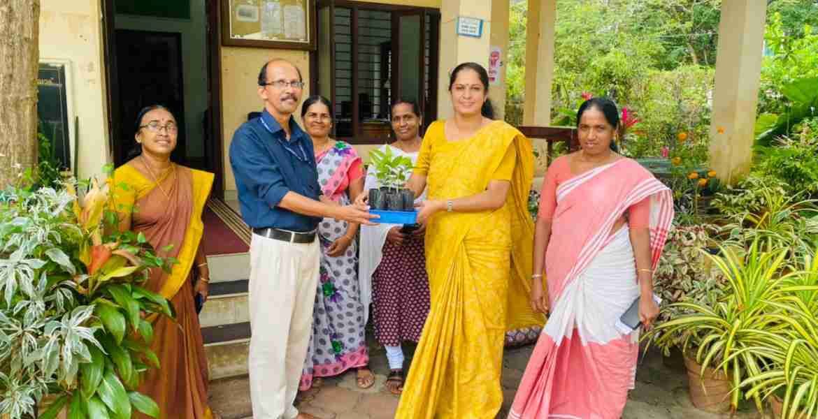 പാലയാട് സംസ്ഥാന കോക്കനട്ട് നേഴ്‌സറിയിൽ അത്യുൽപ്പാദന ശേഷിയുള്ള ഞള്ളാനി ഏലം, ഹൈബ്രിഡ് കാപ്പി എന്നിവയുടെ തൈ വിൽപന ജില്ലാ പഞ്ചായത്ത് പ്രസിഡണ്ട് പി പി ദിവ്യ തൈകൾ ഏറ്റുവാങ്ങി ഉദ്ഘാടനം ചെയ്യുന്നു