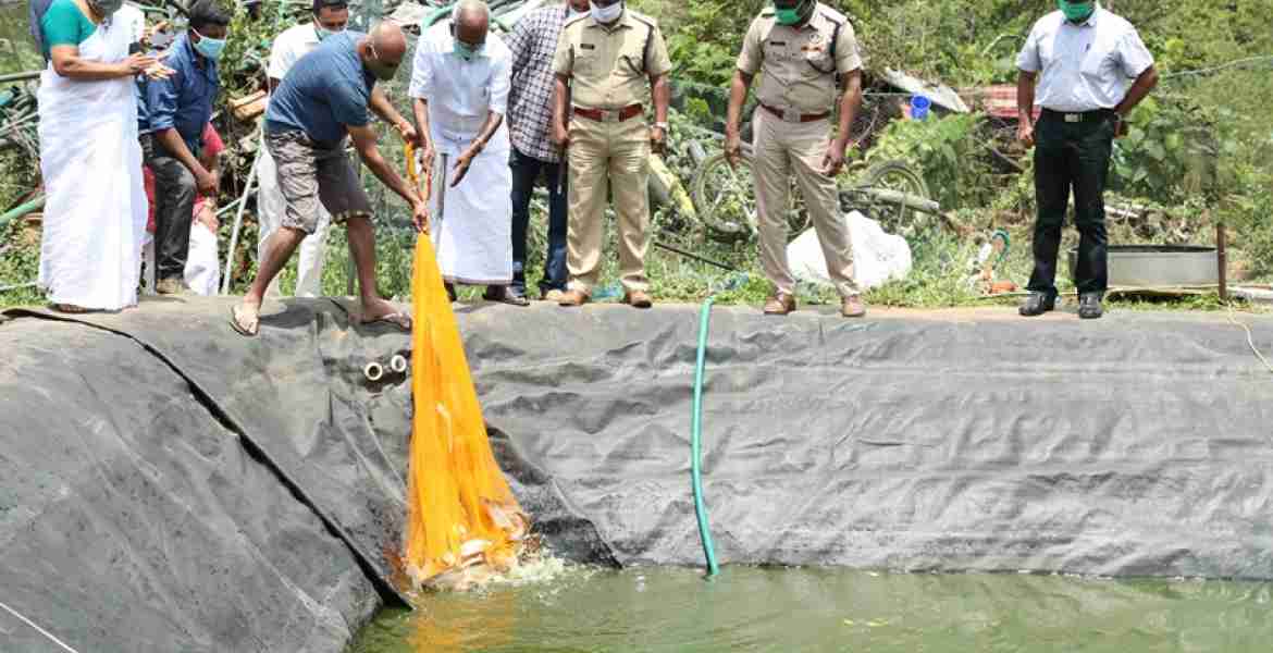 വണ്ടന്‍മേട് പോലീസ് സ്റ്റേഷനിലെ മത്സ്യകൃഷി വിളവെടുപ്പ് മന്ത്രി എം.എം.മണി നിര്‍വ്വഹിക്കുന്നു.