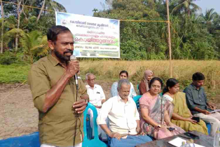 കൊയിലാണ്ടി നഗരസഭയിലെ കുറുവങ്ങാട് തരിശുനില നെൽകൃഷി വിളവെടുപ്പ് നഗരസഭ ചെയർമാൻ യു കെ ചന്ദ്രൻ ഉദ്ഘാടനം ചെയ്യുന്നു