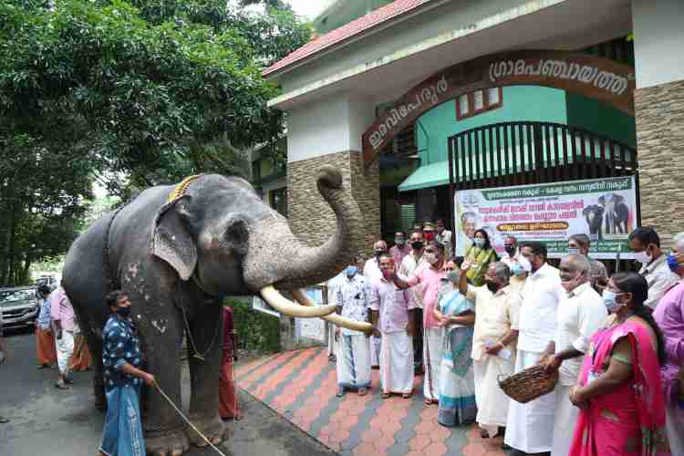 ലോക്ക്ഡൗണ്‍ കാലഘട്ടത്തില്‍ നാട്ടാനകള്‍ക്കായുള്ള ഭക്ഷണ വിതരണത്തിന്റെ ജില്ലാതല ഉദ്ഘാടനം ഇരവിപേരൂര്‍ ഗ്രാമപഞ്ചായത്തില്‍ വനം - വന്യജീവി വകുപ്പ് മന്ത്രി കെ. രാജു നിര്‍വഹിക്കുന്നു.