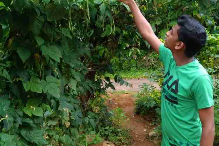 കൃഷി പരിപാലനത്തിലേര്പ്പിട്ടിരിക്കുന്ന എന്ആര്സിറ്റി എസ്എന്വി സ്കൂളിലെ വിദ്യാര്ഥികള്