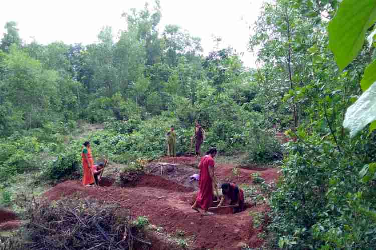 മുളിയാര്‍ ഗ്രാമപഞ്ചായത്തിലെ മഴക്കുഴി നിര്‍മ്മാണത്തില്‍ നിന്ന്