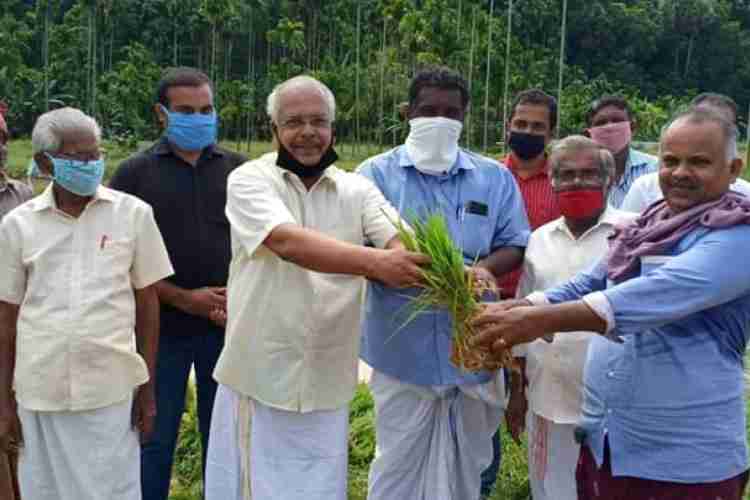 സുഭിക്ഷ കേരളം പദ്ധതിയുടെ ശ്രീകൃഷ്ണപുരം പഞ്ചായത്ത്തല ഉദ്ഘാടനം പി.ഉണ്ണി എം.എല്‍.എ നിര്‍വ്വഹിക്കുന്നു.