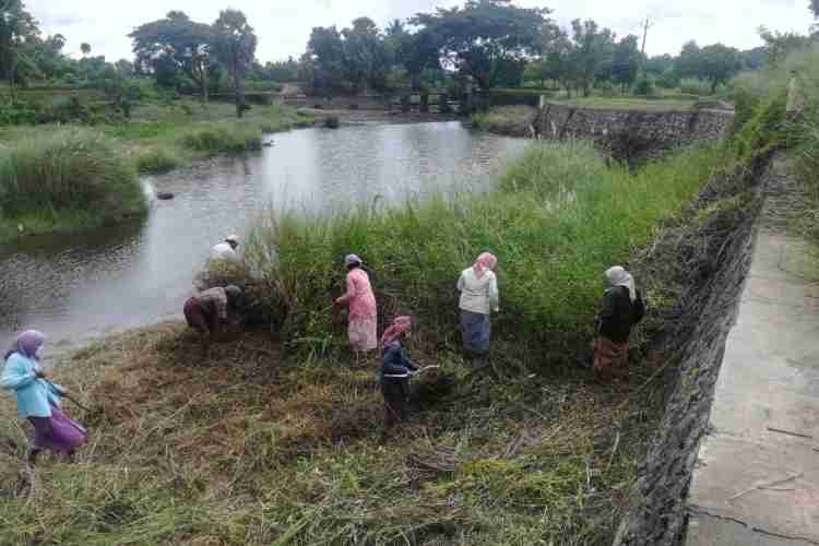 തൊഴിലുറപ്പ് പദ്ധതിയുടെ നേതൃത്വത്തില്‍ ആലത്തൂര്‍ പഞ്ചായത്തില്‍ തോട് നവീകരിക്കുന്നു.  