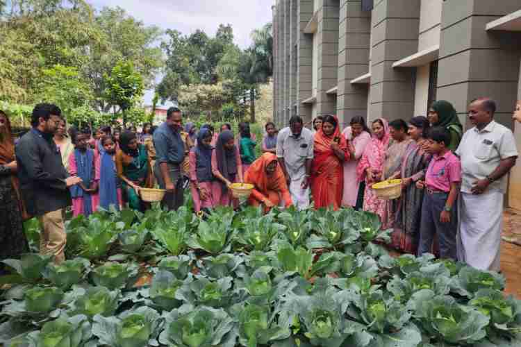 സുൽത്താൻ ബത്തേരി ഗവ. സർവജന ഹൈസ്കൂളിലെ വിദ്യാർത്ഥികൾ സ്കൂൾ വളപ്പിൽ കൃഷി ചെയ്ത പച്ചക്കറികളുടെ വിളവെടുപ്പ് നടത്തി. നഗരസഭ ചെയർപേഴ്സൺ റസീന അബ്ദുൾ ഖാദർ വിളവെടുപ്പ് ഉദ്ഘാടനം ചെയ്തു.