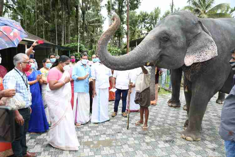 ആനകള്ക്കായുള്ള ഖരാഹാര വിതരണ പദ്ധതിയുടെ ഉദ്ഘാടനം ഇ എസ് ബിജിമോള് എംഎല്എ നിര്വ്വഹിക്കുന്നു.