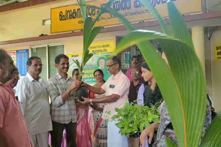 ഞാറ്റുവേല ചന്തയുടെ ഭാഗമായി ചെറുകുന്ന് ഗ്രാമ പഞ്ചായത്തിൽ നിന്നും തൈകൾ വിതരണം ചെയുന്നു