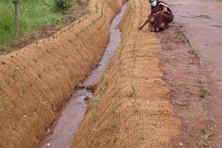 കയര്‍ ഭൂവസ്ത്രം കൈത്തോടിന് പുതുജീവന്‍ നല്‍കി