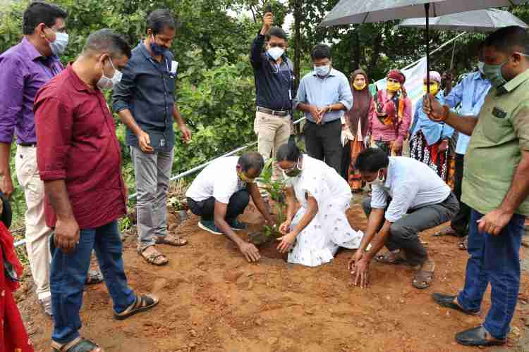 വാഴത്തോപ്പ് ഗ്രാമ പഞ്ചായത്തില്‍ പച്ചതുരുത്ത്  രണ്ടാം ഘട്ടത്തിന് തുടക്കമായി