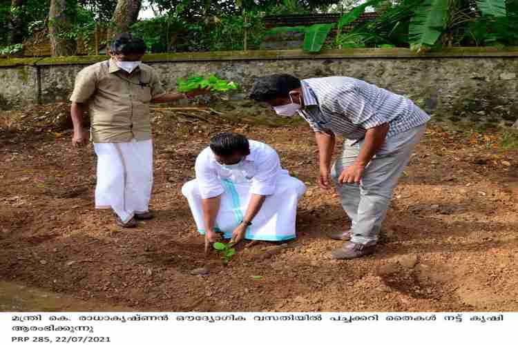 Minister  K Radhakrishnan plants tree saplings at official residence